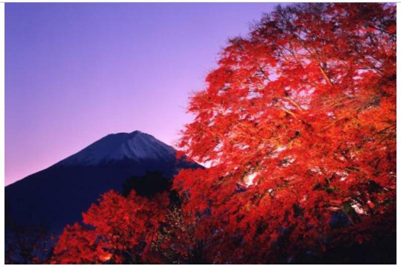 Erable Mt.Fuji "Kaze" Villa Fujikawaguchiko Ngoại thất bức ảnh